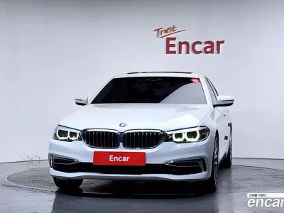 2019 BMW 5-Series 530i Luxury Plus, фото 3, лот 10225214