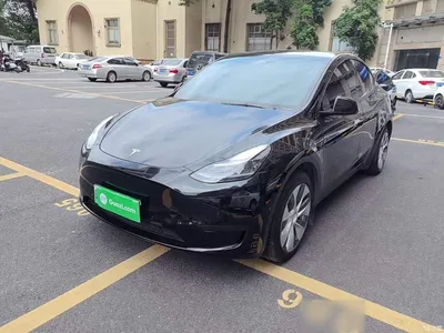 2022 Tesla Model Y Facelift Rear-Wheel Drive Version, фото 1, лот 10390371