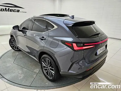 2024 Lexus NX 350h Luxury, фото 4, лот 10212740