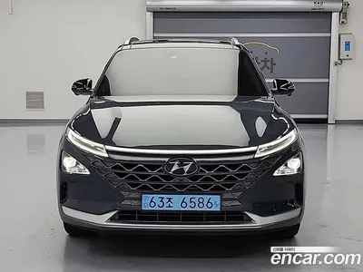 2020 Hyundai Nexo Premium, фото 2, лот 11382022