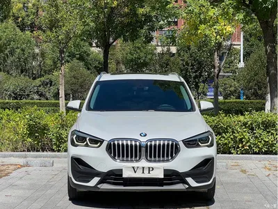 2020 BMW X1 sDrive20Li Fashion Model, фото 2, лот 10421144