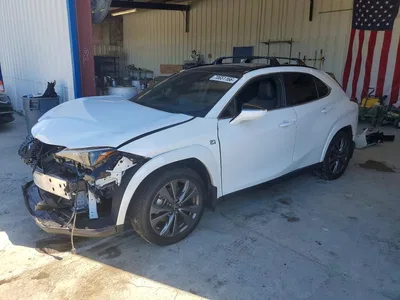 2024 LEXUS UX 250H F SPORT HANDLING, фото 1, лот 11239556