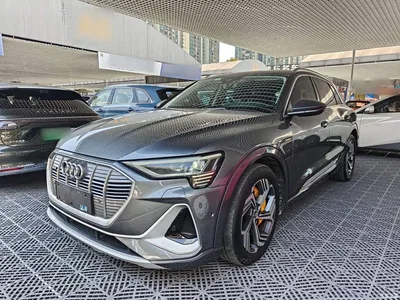 2021 Audi e-tron 50 quattro Exclusive Selection, фото 1, лот 10473632