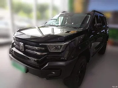 2024 Tank 400 New Energy Hi4-T Off-Road Edition, фото 1, лот 10345531