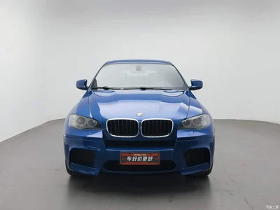 2010 BMW X6 M, фото 3, лот 10518618