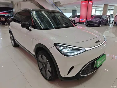 2024 smart Elf #1 Premium Edition, фото 4, лот 10838132