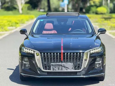 2025 Hongqi H5 1.5T DCT Flag Rhythm 500,000 Units Memorial Edition, фото 3, лот 10285537