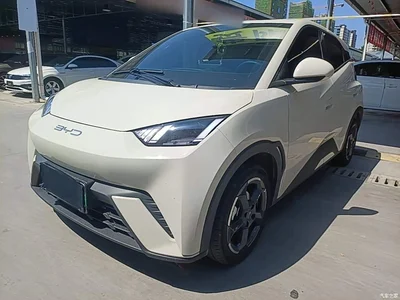 2023 BYD Seagull Freedom Edition, фото 1, лот 10259773