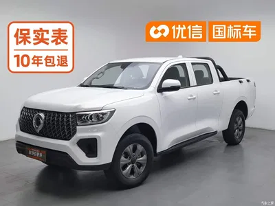 2024 Great Wall Pao Model 2.4T Commercial Version Automatic Diesel 4WD Elite Type, фото 1, лот 10403890