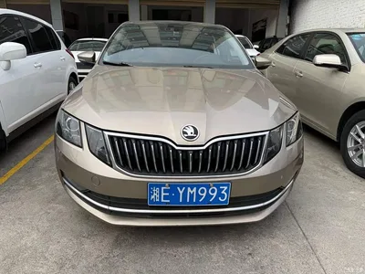 2019 Škoda Octavia 1.5L Automatic Smart Luxury Edition China V, фото 2, лот 11241236