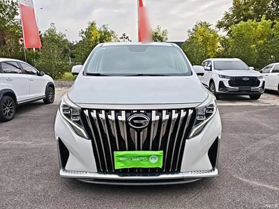 2021 GAC Trumpchi Trumpchi M8 Master Series 390T Ultimate Edition, фото 3, лот 10420821