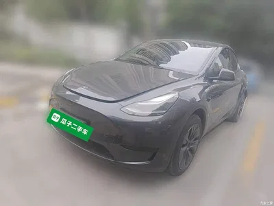 2024 Tesla Model Y Rear-Wheel Drive Version, фото 1, лот 11412125