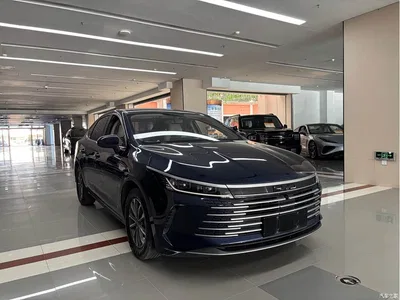 2023 BYD Destroyer 05 Champion Edition DM-i 55KM Luxury, фото 3, лот 10257495