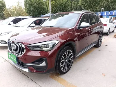 2021 BMW X1 xDrive25Li Exclusive, фото 1, лот 11247755