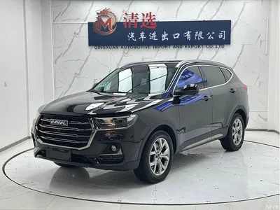 2021 Haval H6 Model 1.5T Automatic Champion Edition, фото 1, лот 10282177