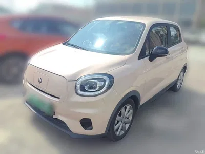 2022 Leapmotor T03 Pearl Edition, фото 2, лот 10442456