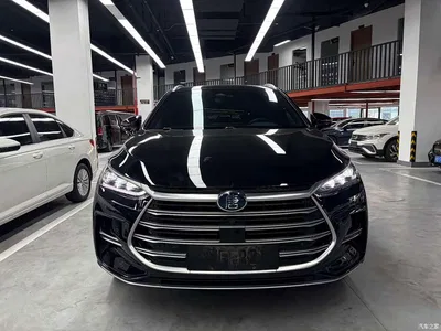 2021 BYD Tang New Energy DM-i 112KM Premium, фото 2, лот 10273288