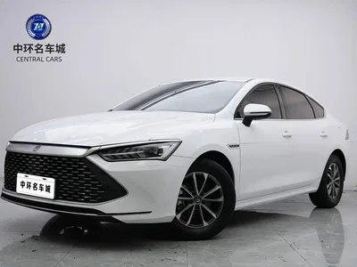 2023 BYD Qin PLUS Champion Edition DM-i 55KM Leading, фото 1, лот 10364125