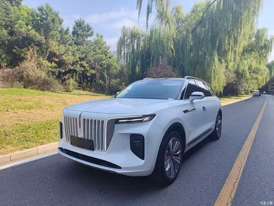 2022 Hongqi E-HS9 690km Qi Xiang Edition (6-seater), фото 1, лот 10394593