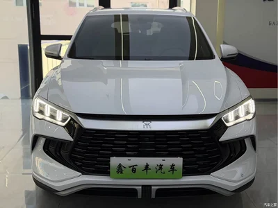2024 BYD Song Pro New Energy Glory Edition DM-i 71KM Pilot, фото 2, лот 11194842