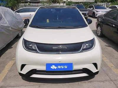 2021 BYD Dolphin Model 405km Fashion Edition, фото 2, лот 11202359