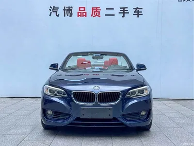 2015 BMW 2 Series (Import) 218i Convertible Coupe, фото 2, лот 10471375