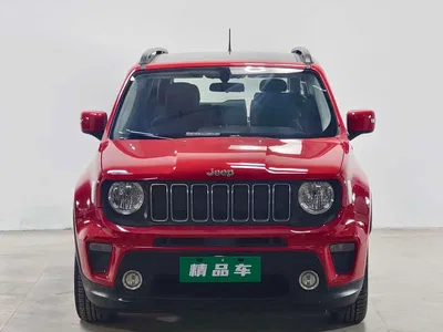 2019 Jeep Renegade 220T Automatic Premium, фото 2, лот 10359983