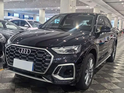 2022 Audi Q5L Facelift 40T Luxury Dynamic, фото 1, лот 11196251