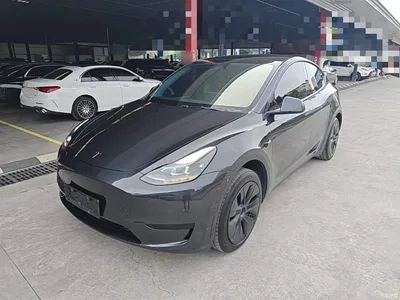 2024 Tesla Model Y Rear-Wheel Drive Version, фото 1, лот 10370558