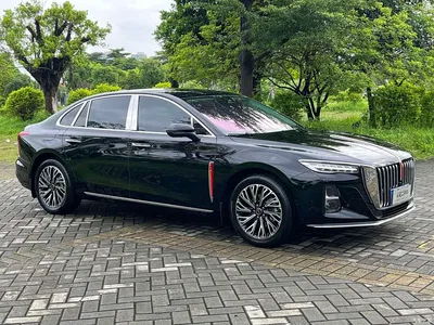 2025 Hongqi H5 2.0T Automatic Flag Celebration 500,000 Units Anniversary Edition, фото 3, лот 10288359