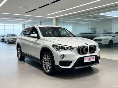 2018 BMW X1 sDrive20Li Leading Model, фото 3, лот 11242470