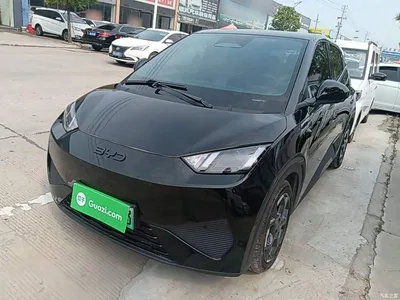 2025 BYD Seagull Smart Driving Edition 405km Flying Edition, фото 2, лот 10259703
