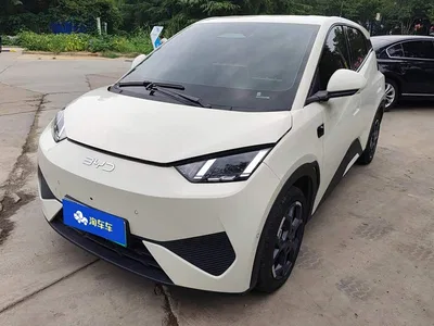 2025 BYD Seagull Smart Drive Edition 305km Freedom Version, фото 1, лот 10402008