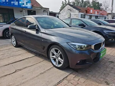2019 BMW 3 Series GT 320i M Sport Model, фото 4, лот 10473617