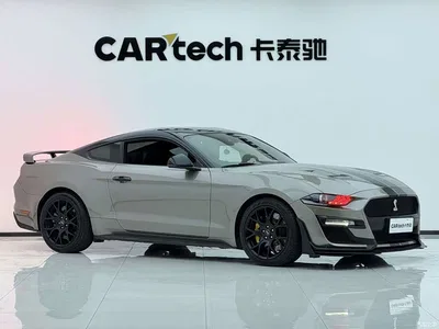 2019 Ford Mustang 2.3L EcoBoost, фото 3, лот 10765763