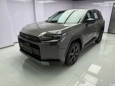 2026 Toyota RAV4 Rongfang 2.0L Base Model, фото 1, лот 10323194