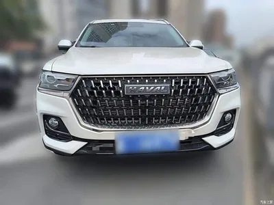 2023 Haval H6 National Trend Edition 1.5T Automatic Champion, фото 2, лот 11582782