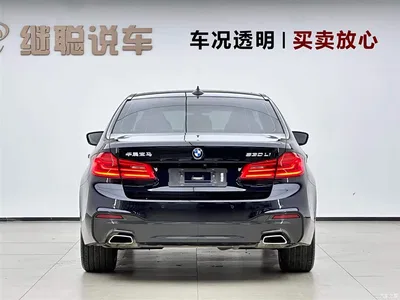 2020 BMW 5 Series Model 530Li Executive M Sport Package, фото 4, лот 10449443