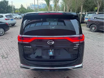 2021 GAC Trumpchi Trumpchi M8 Leading Show Series 390T Prestige Edition, фото 4, лот 10405579