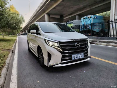 2021 GAC Trumpchi Trumpchi M8 Leading Show Series 390T Ultimate Edition, фото 3, лот 11177492