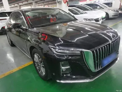2024 Hongqi H5 1.5T DCT Smart Connect Flag Rhythm Edition, фото 4, лот 10612138