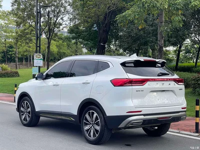 2023 Haval H6 National Trend Edition 1.5T Automatic Champion, фото 4, лот 10381444