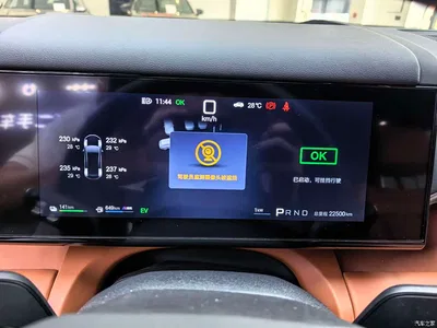 2025 Byd Titanium 7 AWD Base Model, фото 3, лот 10828746