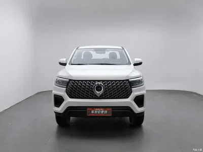 2023 Great Wall Pao 2.0T Commercial Auto Diesel 4WD Elite Long Box GW4D20M, фото 3, лот 11535073