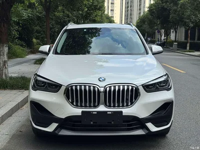 2020 BMW X1 sDrive25Li Leading Model, фото 2, лот 10466751