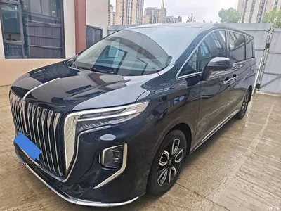 2023 Hongqi HQ9 2.0T Smart Connect Flag Rhyme Edition, фото 1, лот 10287800