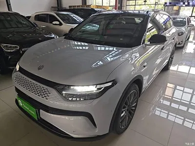2023 Leapmotor C11 Extended Range 285 Smart Edition, фото 1, лот 10441948