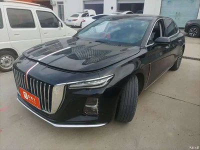 2024 Hongqi H5 2.0T Automatic Smart Connect Flag Smooth Edition, фото 1, лот 11196802
