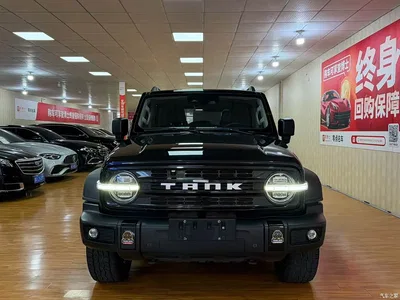 2021 Tank 300 Off-road Version 2.0T Conqueror, фото 2, лот 10887316
