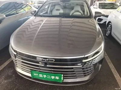 2023 BYD Destroyer 05 Champion Edition DM-i 120KM Honor, фото 3, лот 10259659